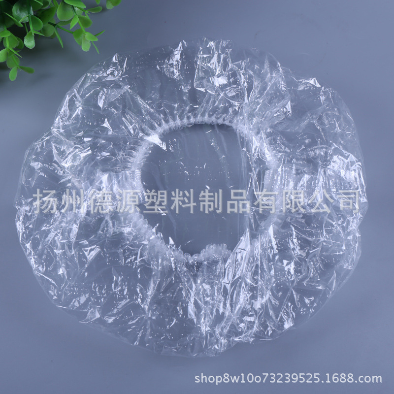 5331498520_809152111