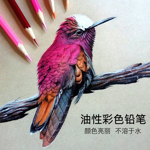 Marley water-soluble colored lead 24 color pencils professional painting 36-color water-soluble coloring pencils color lead brushes