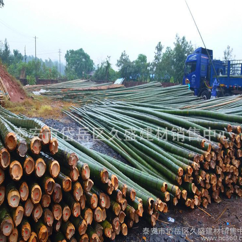 山东省日照市长期批发零售毛竹产地直销蔬菜大棚养殖大棚竹竿楠竹
