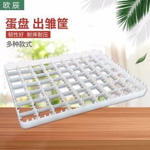 �S��ֱ�N�F؛����С�u�����P �Ӻ����r����r���r�u���Z����r�P