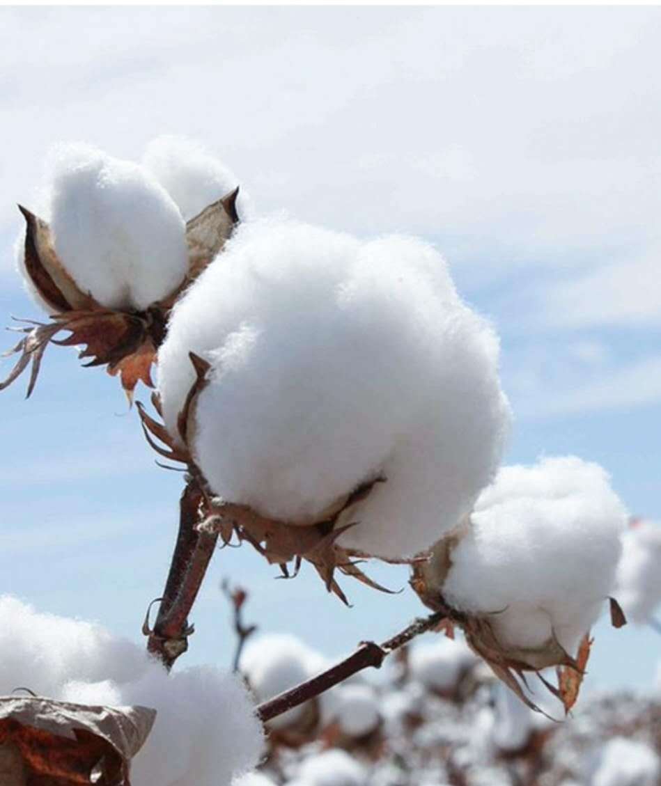 微信图片_20200913083240