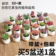 ��@����������ֲ�����Ԕ[���ٶ���Gֲ�ٻ��辰��䁼Ҿ��b�