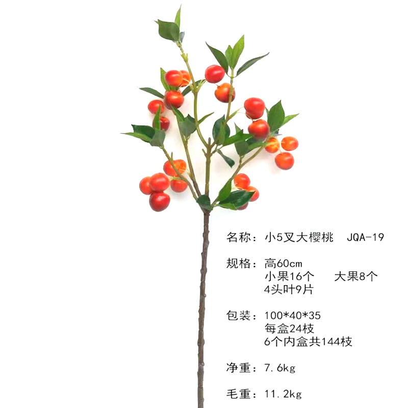 XRG-024 小5叉大樱桃0.5米 1.jpg