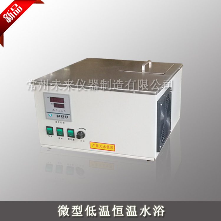 厂家定制 小型低温恒温水槽 微型低温水浴锅 冷却水循环器  6L