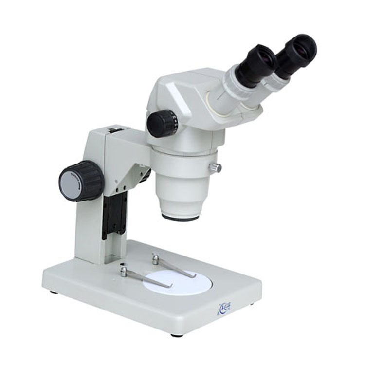 GL99BI显微镜 桂光显微镜 体视显微镜