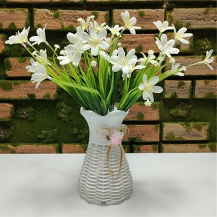 7�28�^�m���ݷ��滨 ��c�����[�Ž�������ˮ�ݴ��ݲ���ֲ��ٻ�