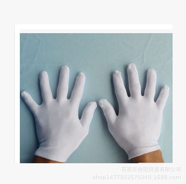 批发棉拉架白手套 现货供应弹力棉白手套 礼仪棉白手套