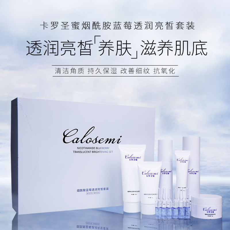 厂家蓝莓十二件美容批发套装化妆品产品加工护肤套去角质遮瑕爆款|ms