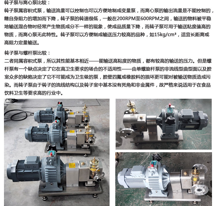 百力仕转子泵新 (13)