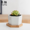 Dongheng multi -meat flower pot potted ceramic creative white flower pot small hexagonal polysmal white porcelain small flower pot set