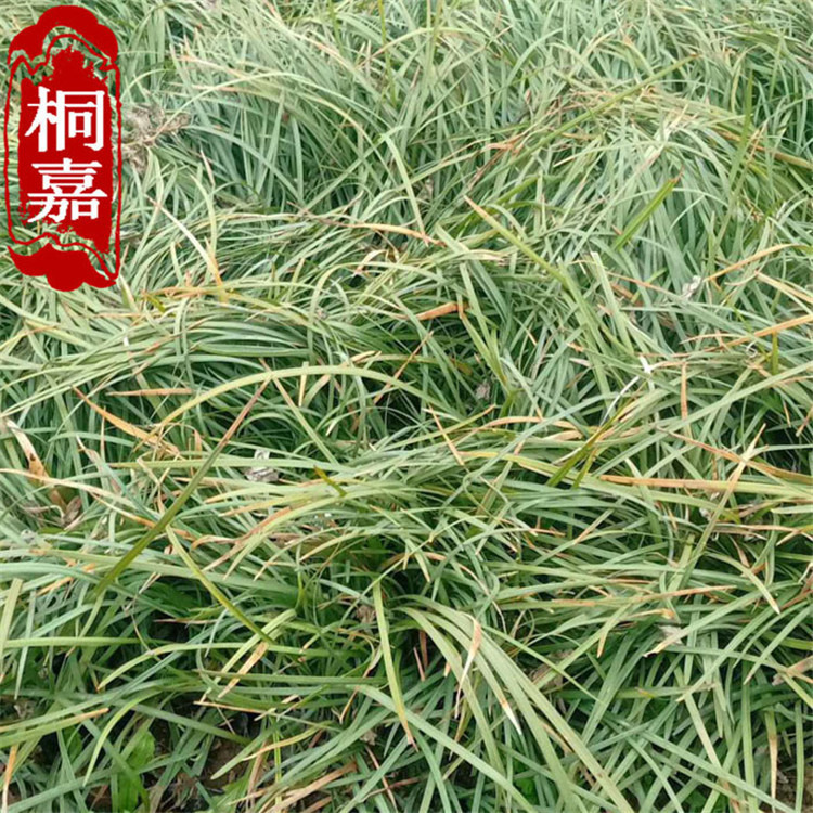 ΢��ͼƬ_20200309145041