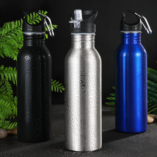 750ML��������ʽ�\��ˮ��304���P䓆Όӑ���ˮ���羳ͨ؛С�~���l