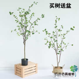 假植物盆栽 假植物盆栽批发 促销价格 产地货源 阿里巴巴