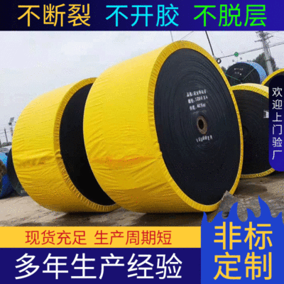 工业尼龙输送带阻燃输送带 耐酸碱防腐蚀传送带 输送带定制批发