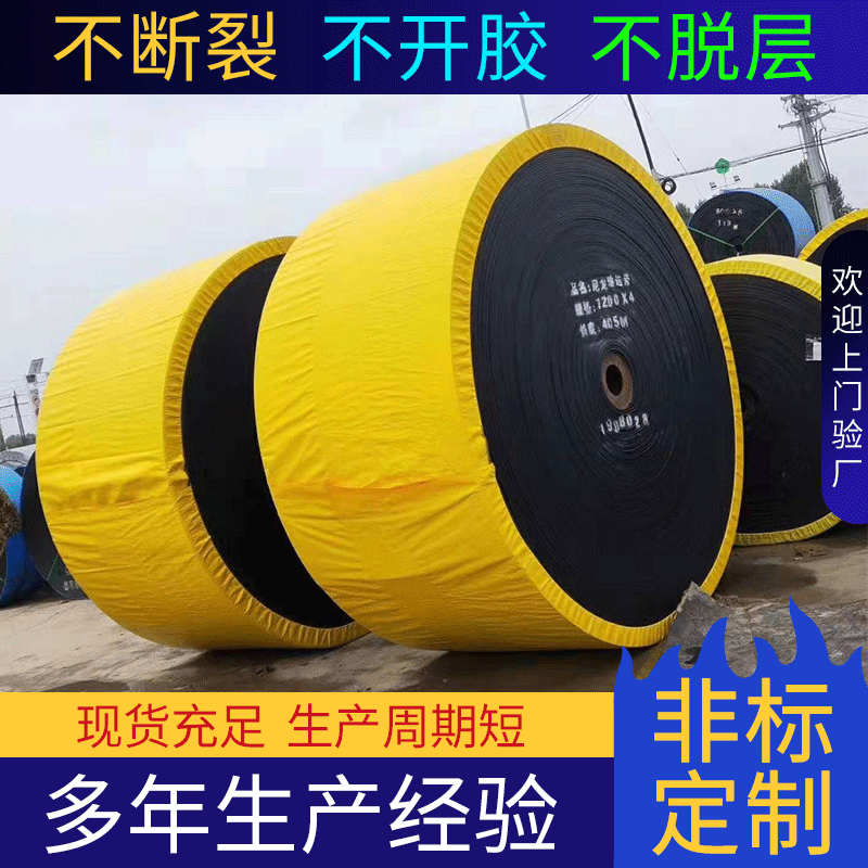 工业尼龙输送带阻燃输送带 耐酸碱防腐蚀传送带 输送带定制批发