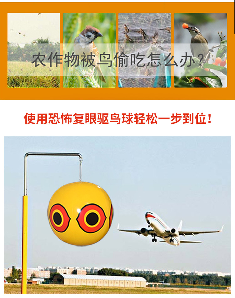 未标题-2-副本_02