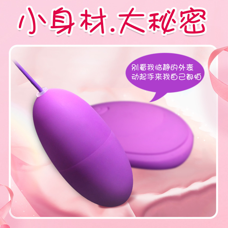 充电款双跳蛋 USB双跳蛋双震  情趣成人用品厂家 拼多多货源