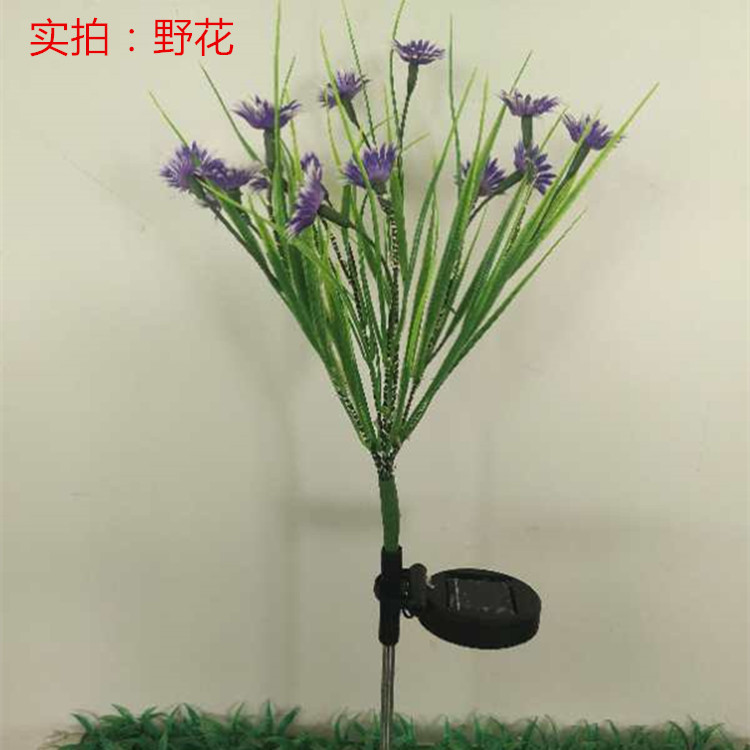 3104881a3fb61b02995b247650a726