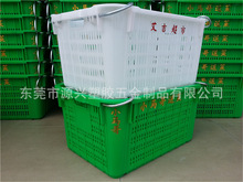 ����ȫ�������߲��}�F���j �V���F��ˮ���B�i���������Ϳ�ʳƷ��