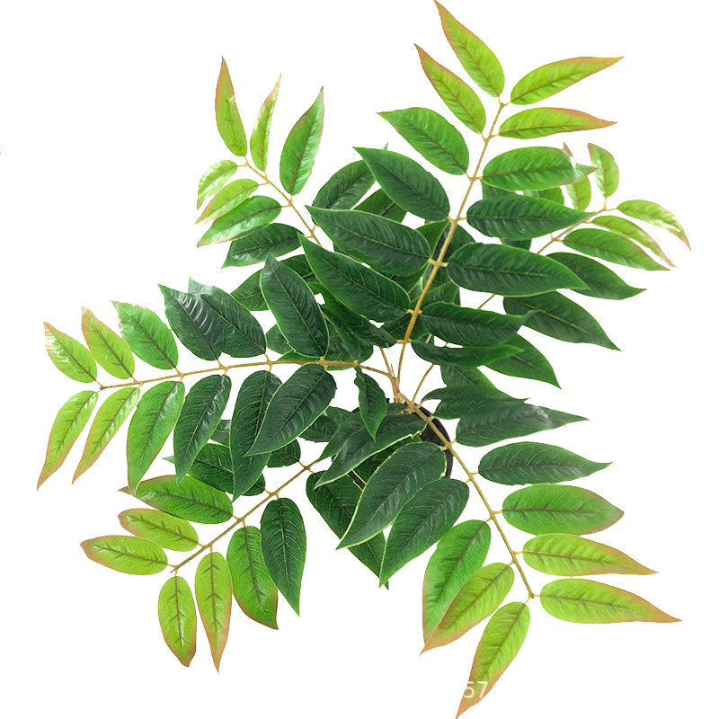 XRB-152 天堂叶六叉枝 (4).jpg