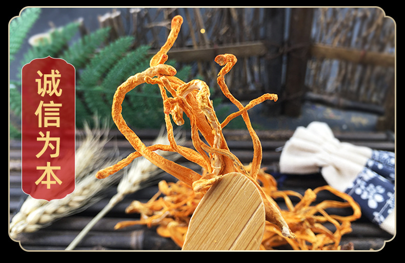 Dried Cordyceps Flower Chong Cao Hua 1kg Culinary Mushroom for Soup and Tea in use
