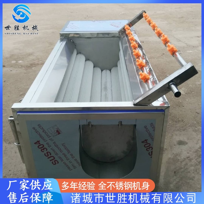 贝母毛刷去皮机 胡萝卜毛刷清洗机 全自动海蛎子去泥清洗机