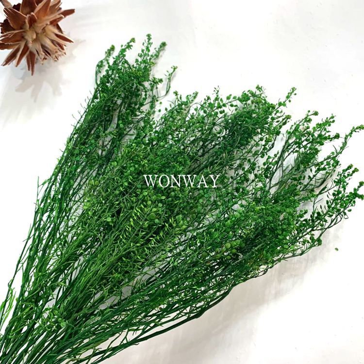 微信图片_20200224124833_副本