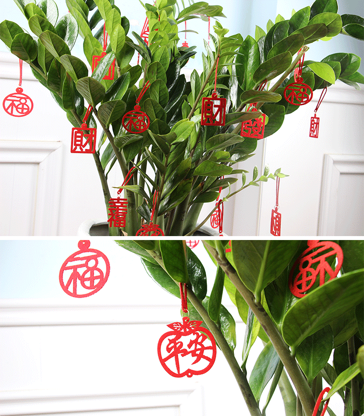 绿植挂件详情_02