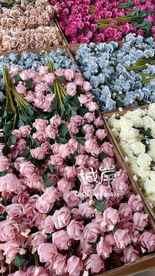 [City shore C0016 ]Camellia 5 head rose PE foam Artificial Flower Artificial flower Silk flower Plastic flowers factory wholesale