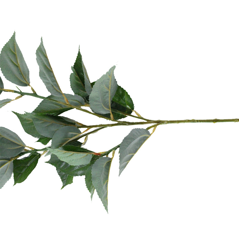 XRB-235 竺麻叶5叉枝0.69米40叶1.jpg