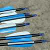 Carbon arrow, Olympic bow, bow and arrows, practice, archery