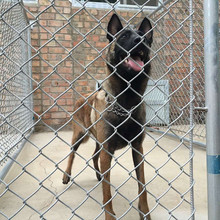 ��\�p�g䓽z�W ��\�����W  �F�z�W 䓽z��žW �pŤ���ξW