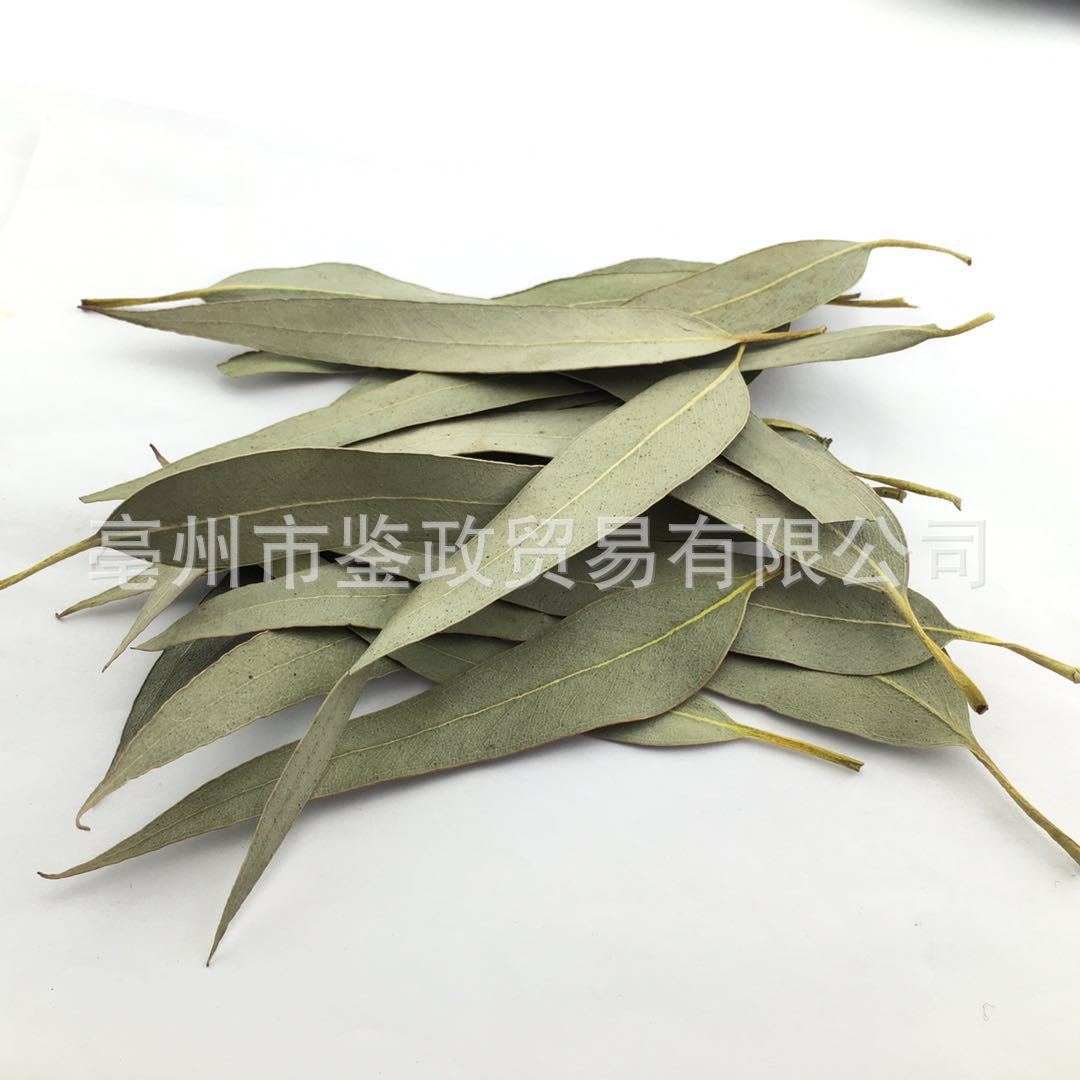 批发广西 桉树叶 新货 桉叶 小蜜垫料散装中草药 桉叶粉常年大货B-阿里巴巴