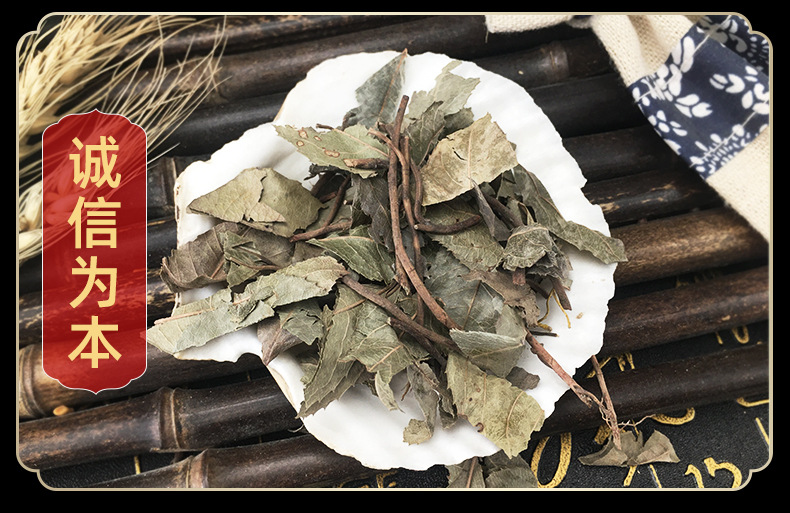 Dried Ardisia Herb Ping Di Mu Whole Herb Traditional TCM Botanical 1kg in use