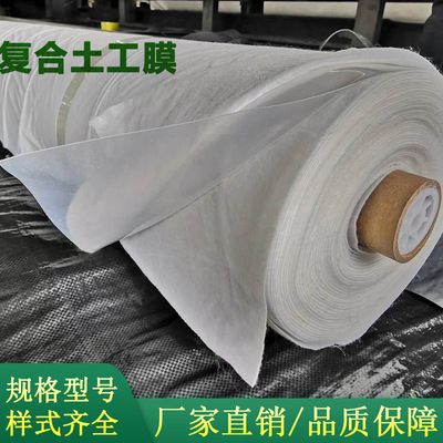 HDPE Composite geomembrane Manufacturer's anti-seepage measures 600g engineering supply fish pond breed Geomembrane
