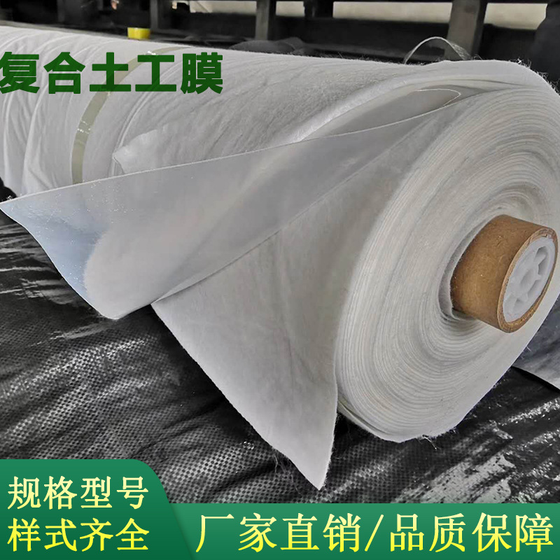 HDPE Composite geomembrane Manufacturer's anti-seepage measures 600g engineering supply fish pond breed Geomembrane