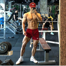 �羳�¿������˶��̿������ֿ㻧��ѵ��������͸����ɼ����ܲ���