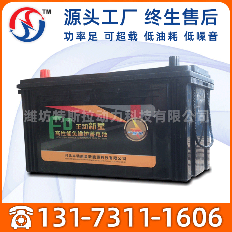 柴油發電機組專用電瓶12v24v電啓動馬達電瓶