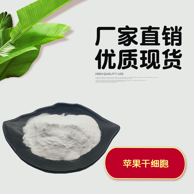 苹果破壁干细胞 苹果干细胞  植物干细胞