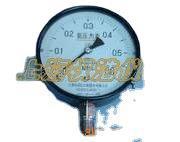 供应 白云牌-YA-150氨压力表 上海自仪