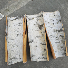 白樺樹樹皮 白樺樹樹皮批發 促銷價格 產地貨源 阿里巴巴