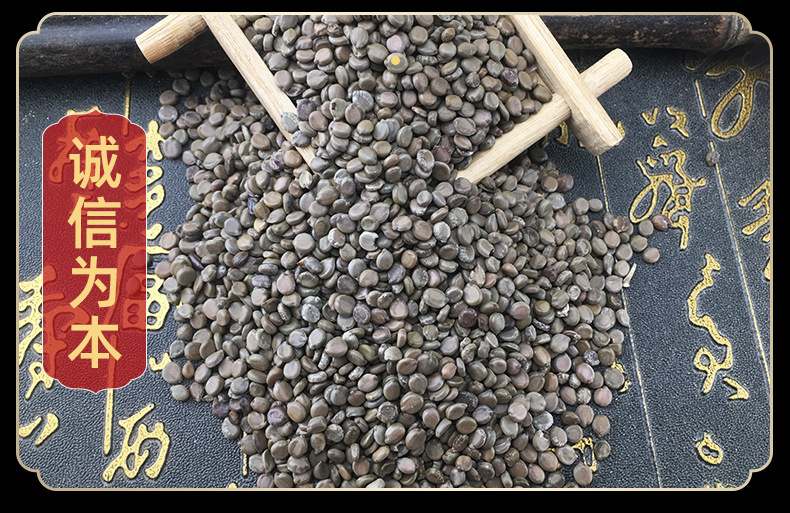 Cassia Occidentalis Seeds Wang Jiang Nan 望江南 Dried Folk Herb Bulk 500g in use