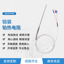 铠装铂热电阻厂家生产可承受高温精准稳定K型电偶PT100铠装热电阻