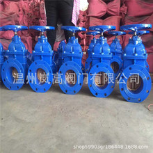 ��ī�T�F���| Z45T-16Q �S��ֱ�N ���I�w���� ���m�B�� DN50