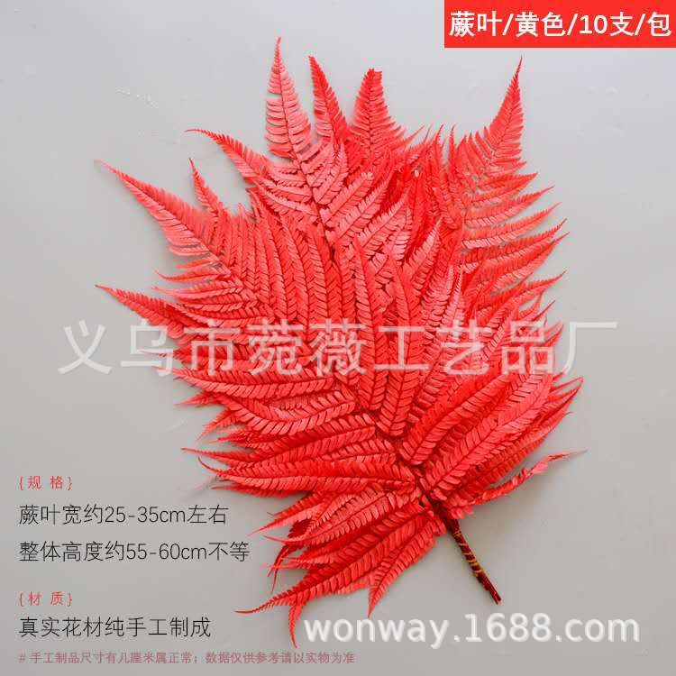 微信图片_20200601160034