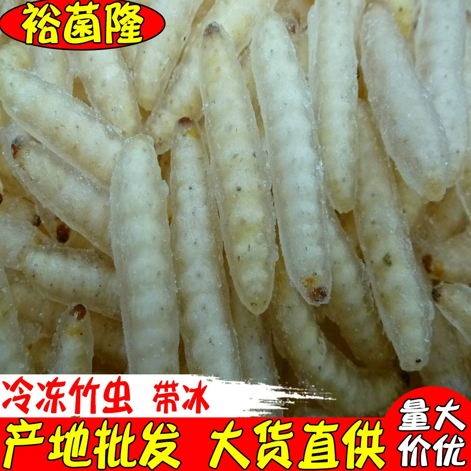 【Южунлон】Съедобные бамбуковые черви, деликатесы из насекомых для отелей и ресторанов барбекю, с льдом, оптовая продажа замороженных продуктов из Юньнани, продукт местной кухни Юньнани.