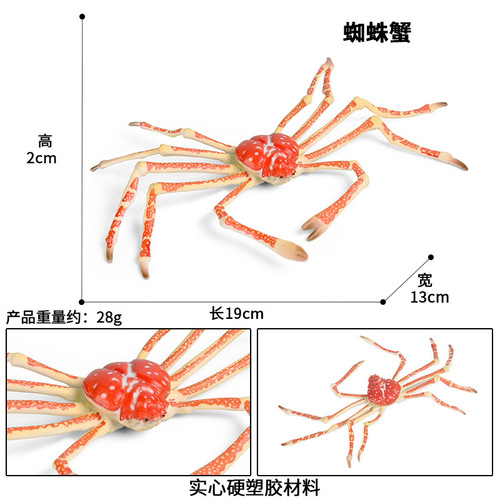 Children's cognitive toy simulation marine animal model static solid spider crab king crab crab plastic ornaments