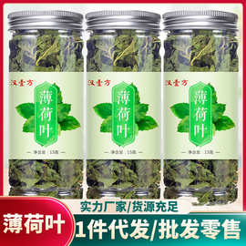 新鲜薄荷叶茶食用咀嚼薄荷叶 新鲜泡茶干薄荷叶 罐装泡水茶叶清凉