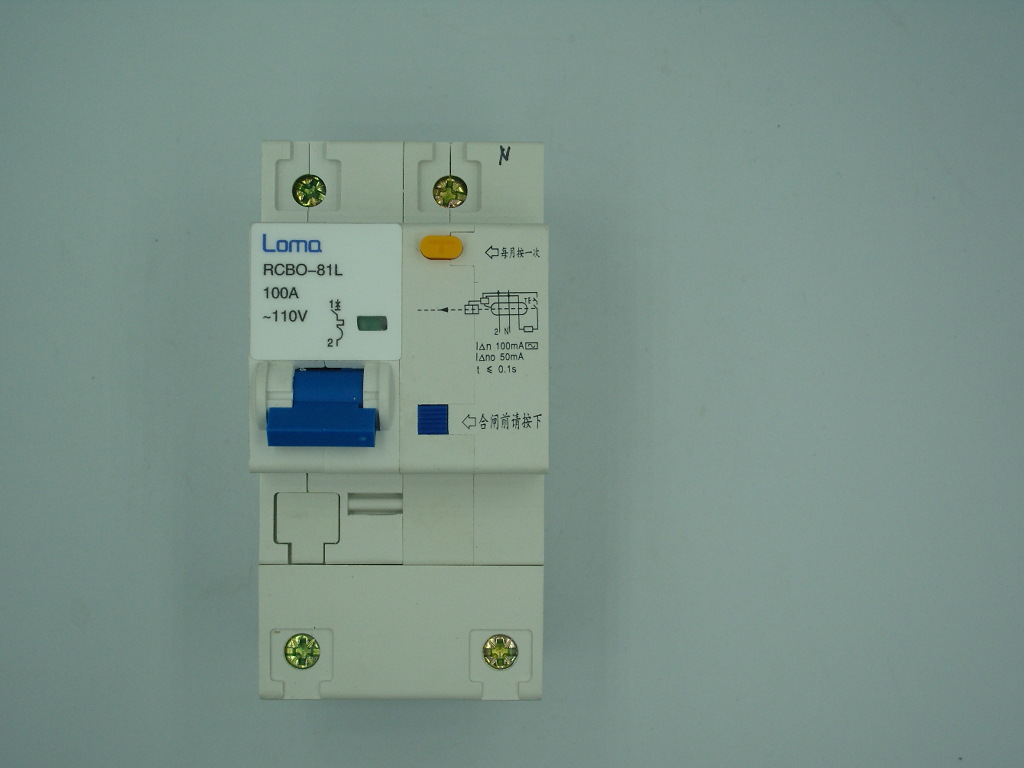 RB RCB RCD 100V 110v 120v ELE RCCB RCBO漏电断路器100A 240v-阿里巴巴