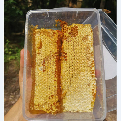 土蜂巢蜜 合作社直供 一手货源 天然现割土蜂巢蜜